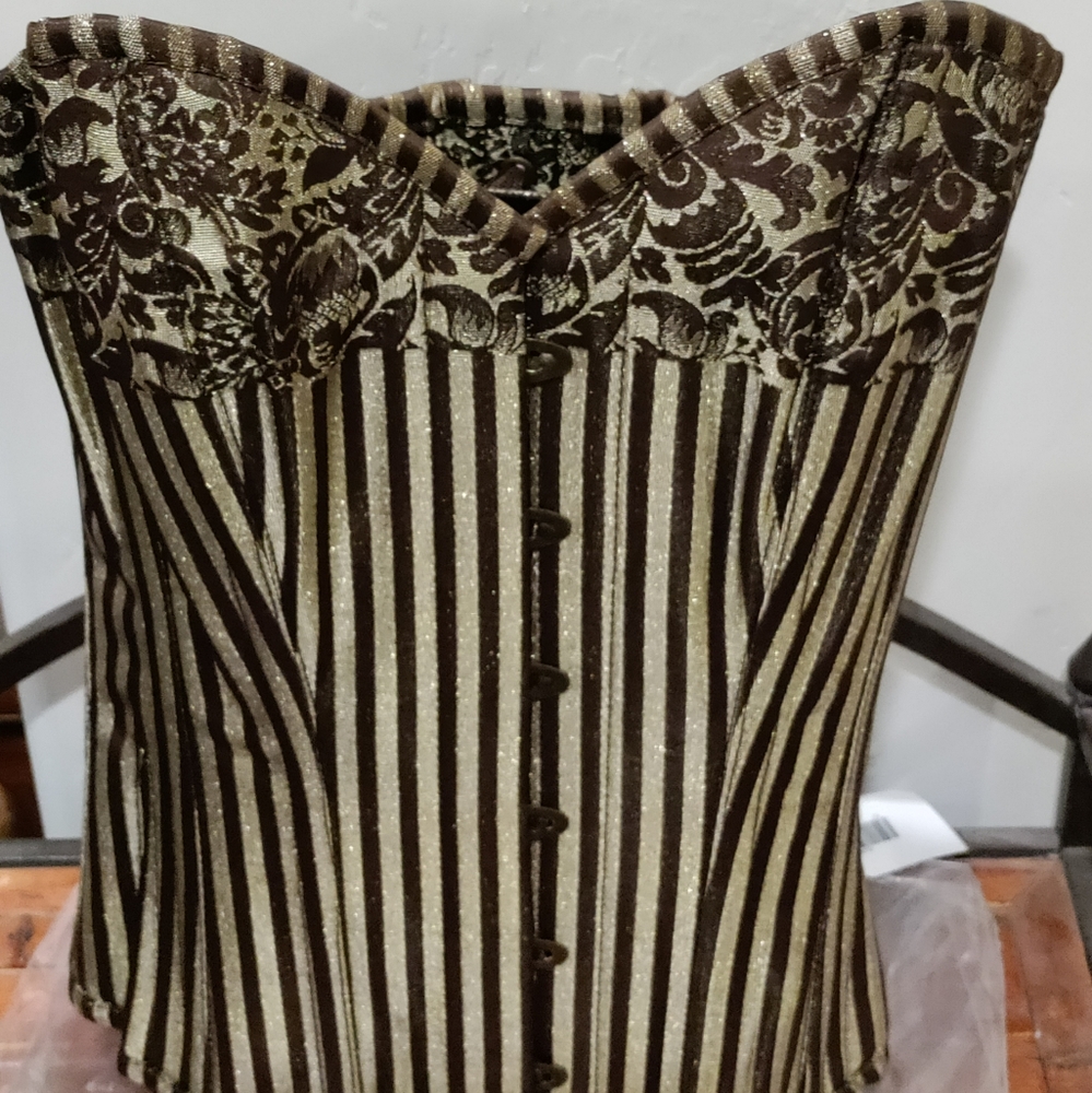 NWT Corsetdeal Size 22 Brown & Gold Metallic Striped Corset